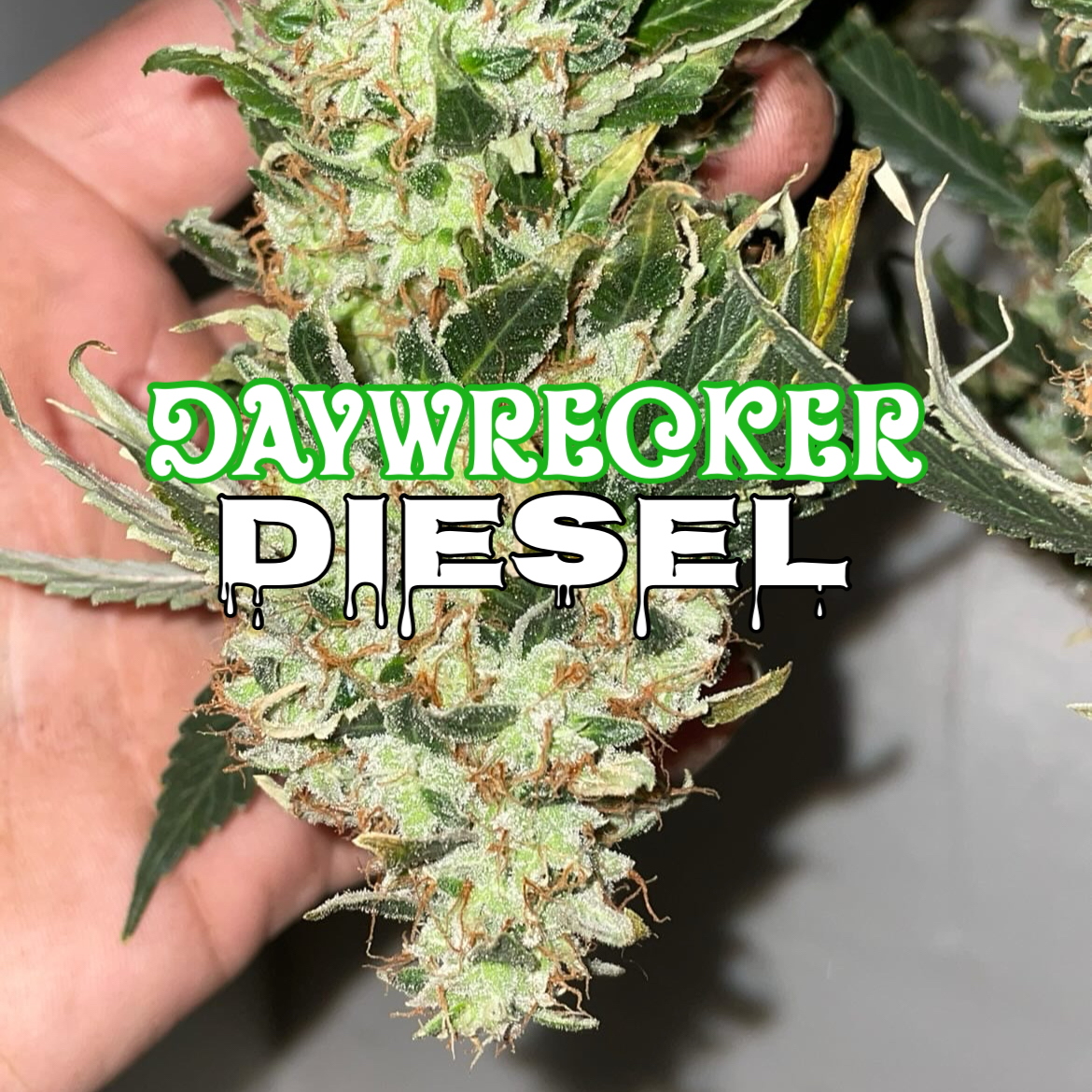 Daywrecker Diesel