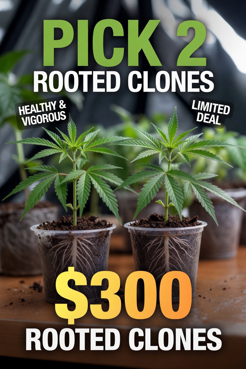 Pick 2 for $300
