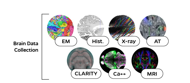 Neurodata - Download Artistic Ocean Illustration | Mobile