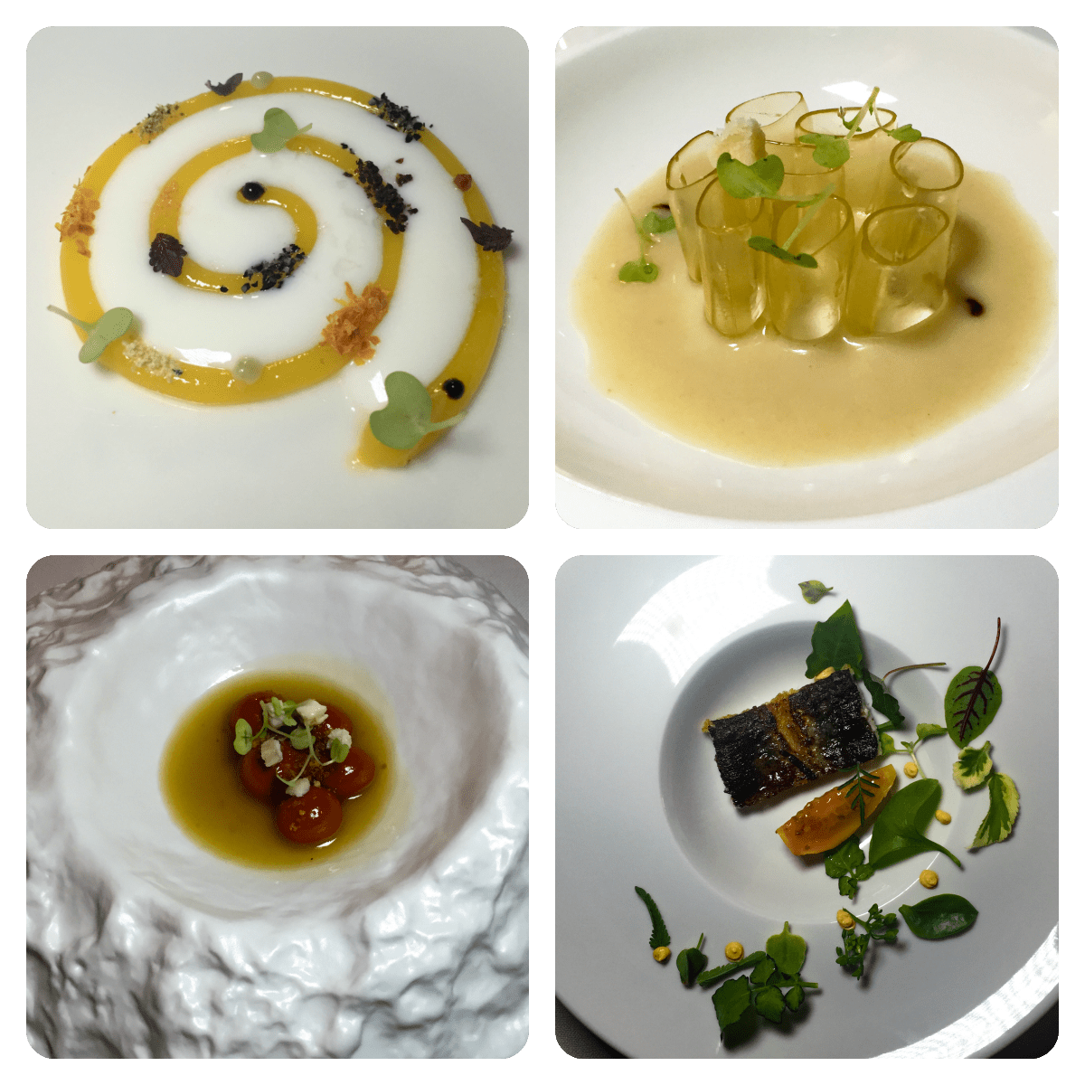 terry giacomello - inkiostro parma