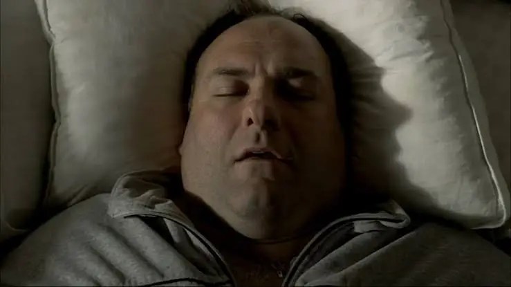 The Sopranos, Tony’s dreams often reflect guilt, unresolved grief, or fear of betrayal.
