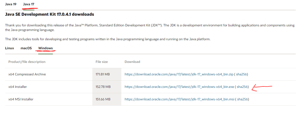 How to Install DynamoDB Locally on Windows 10 Java 3