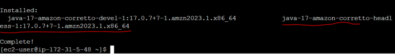 How to Install Java 8/11/17 on Amazon Linux 2023 Instance - CloudKatha