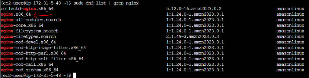 How to Install Nginx on Amazon Linux 2023 Instance 3