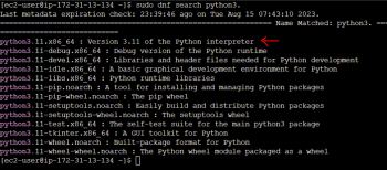 How to Install Python on Amazon Linux 2023 - CloudKatha