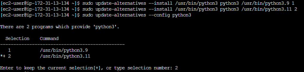 How to Install Python on Amazon Linux 2023 9