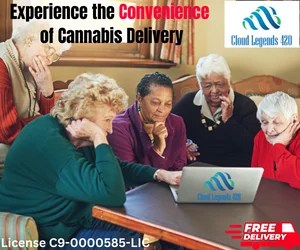Senior women ordering on computer by Cloud Legends 420