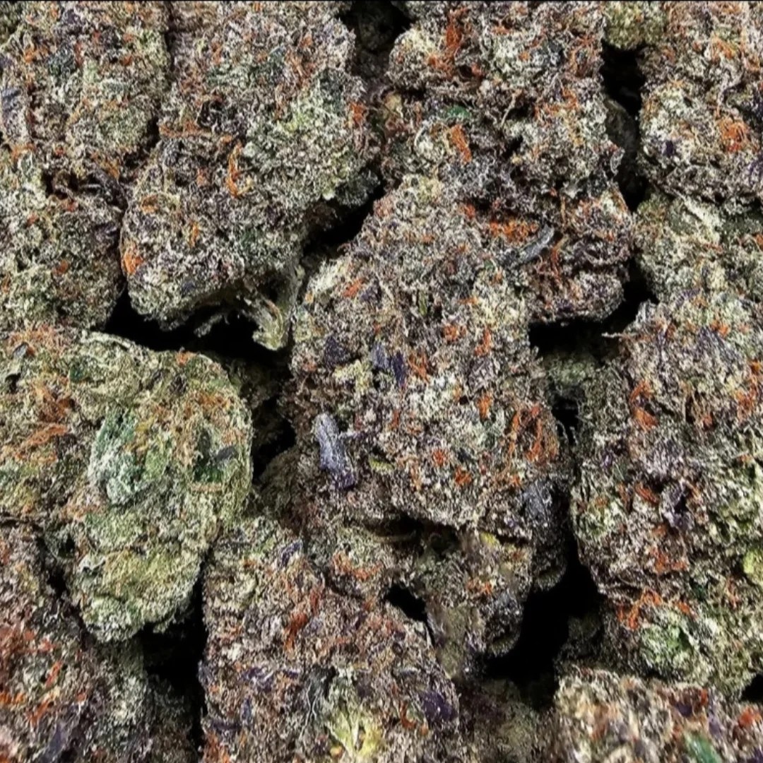 Black Runtz by Enterprize Exotics