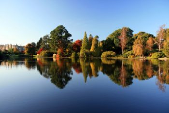 wordpress_courses_ireland_image2