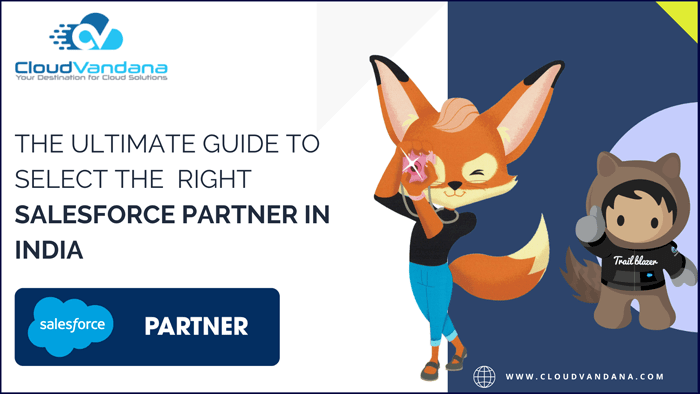The Ultimate Guide To Selecting A Salesforce Partner In India