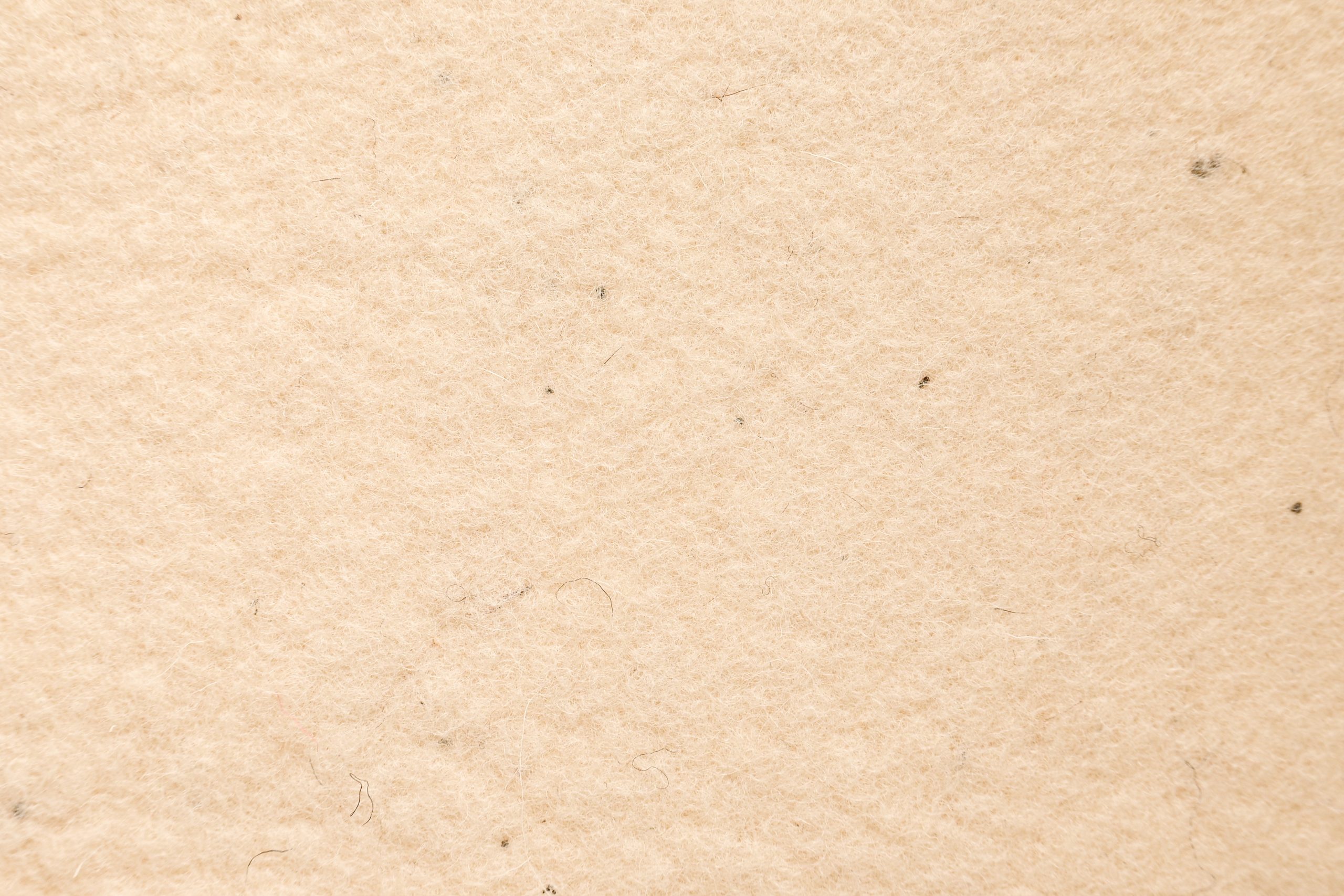 White Sheep Cloudwool® SWATCH