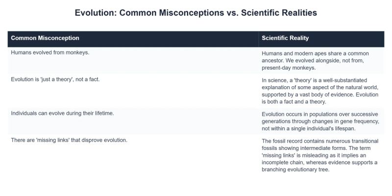 Debunking Common Myths And Misconceptions About Evolution While - Download Elegant Nature Design | Desktop