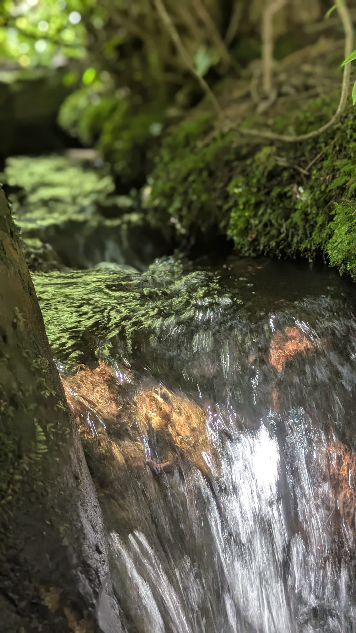 stream 1
