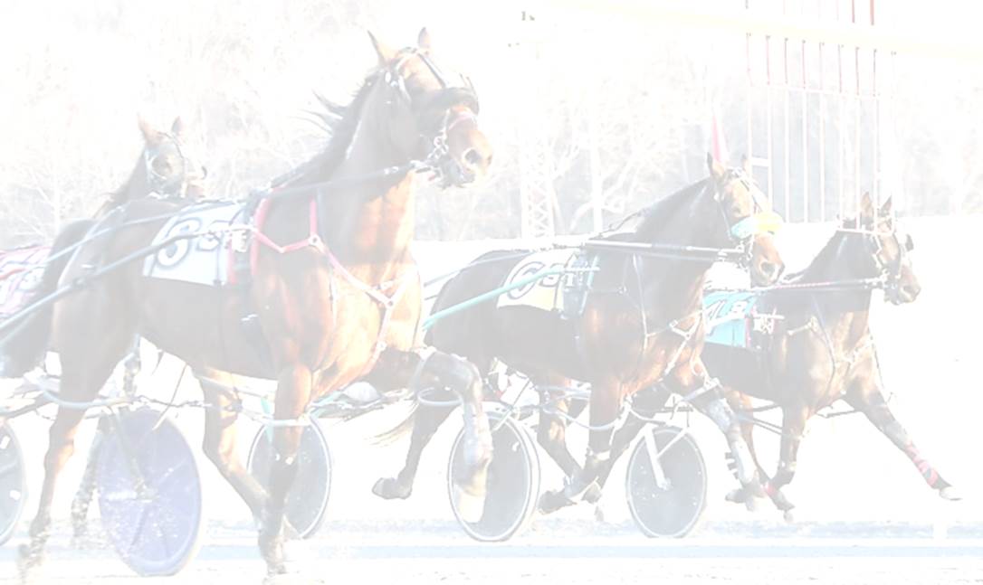 Welcome to the Fall 2025 Rosecroft Meet