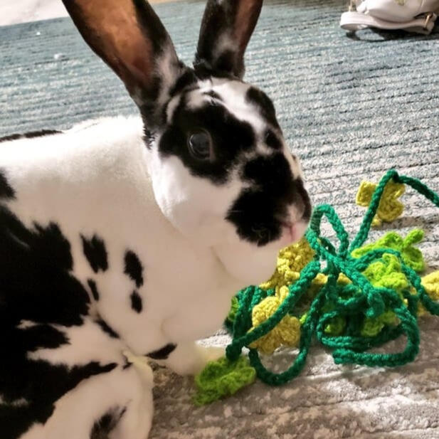 Clover Patch Studio Portfolio - High Resolution Minimal Pictures for Desktop