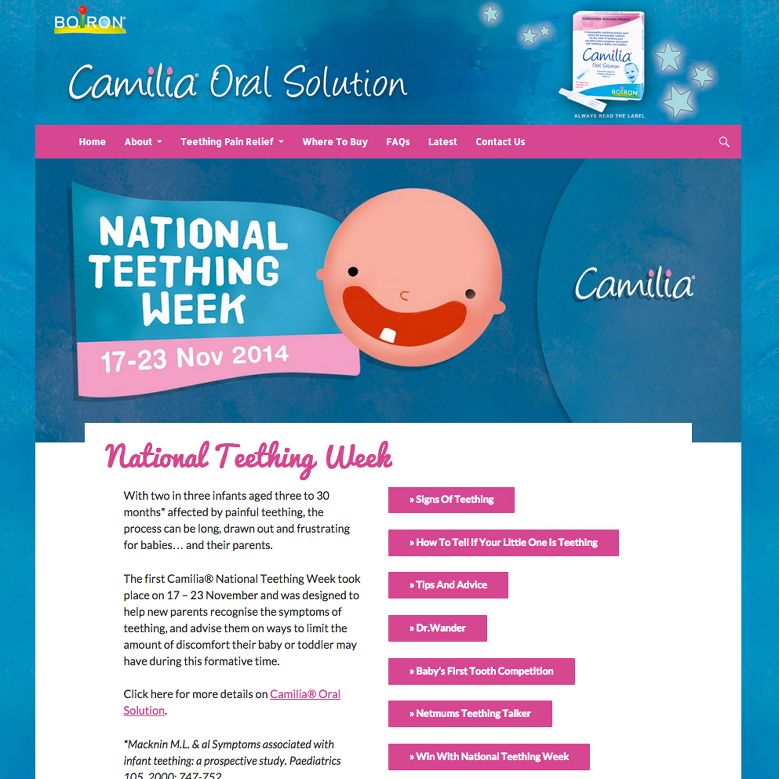 Web Design and Development with Inbuilt SEO, Camillia