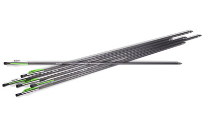 BENJAMIN PIONEER AIRBOW ARROWS 6