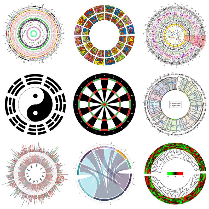Github Losiclab Circdb Circular Rna Database Visualization - Light Images - Perfect Ultra HD Collection