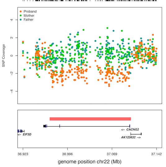Github Dantaki Cnvplot Plot Cnv Data With A Genome Viewer In R - Modern 4K City Patterns | Free Download