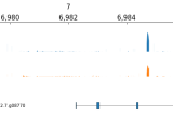 Awesome Genome Visualization