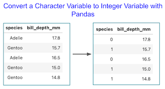 How to Code Character Variable as Integers with Pandas?