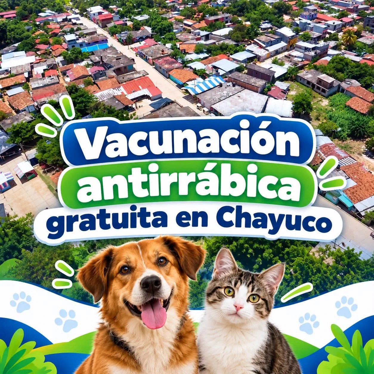 Vacunación antirrábica gratuita en Chayuco