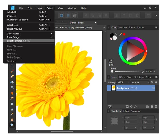 como remover o fundo branco no designer de afinidade usando a cor selecionada da amostra