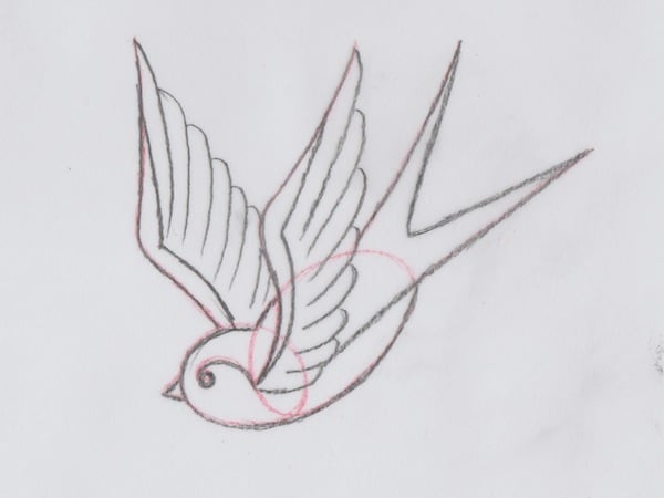 Association of american editorial cartoonists; How To Draw A Group Of Swallows In A Retro Tattoo Style