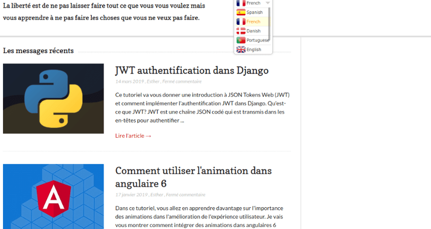 Vous ne pouvez pas installer de thèmes personnalisés. Automatically Create A Multilingual Wordpress Site With A Translator Plugin Laptrinhx