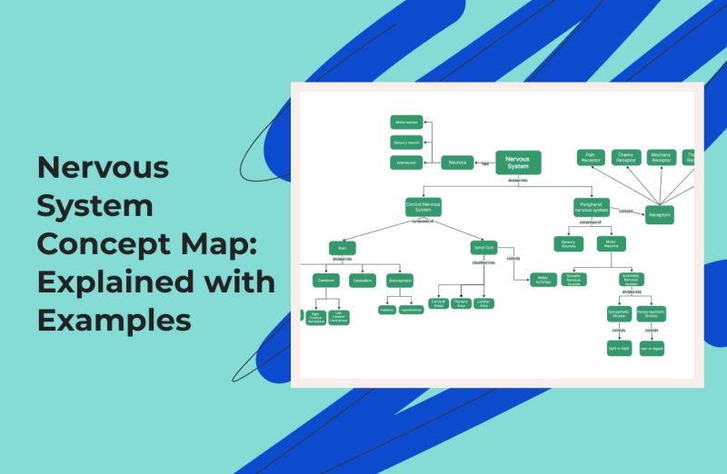 Nervous System Concept Map Explained With Examples Pdf Agile - Download Artistic Abstract Background | Retina