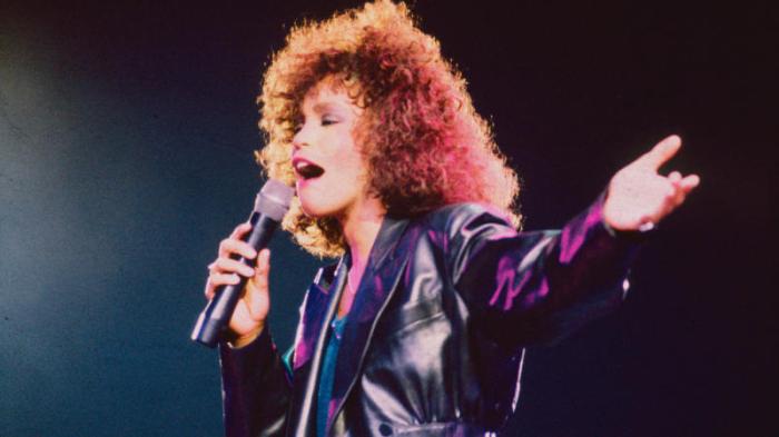 Whitney houston net worth at her peak