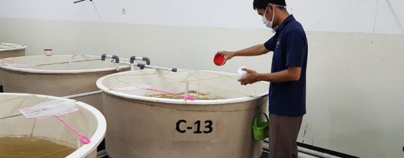 About Us Technical Research - Sunset Design Collection - Ultra HD Quality