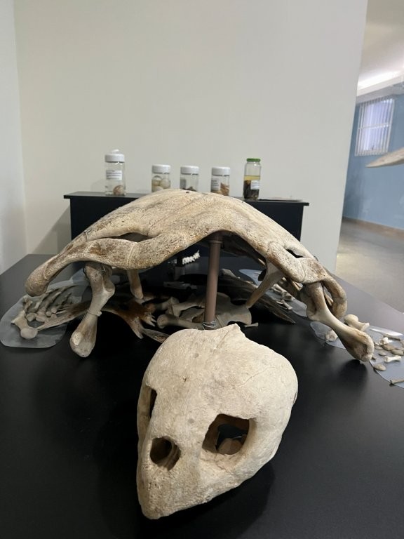 Foto 26 de Visita dos Grupos IV e V à Escola da Ciência e Biologia