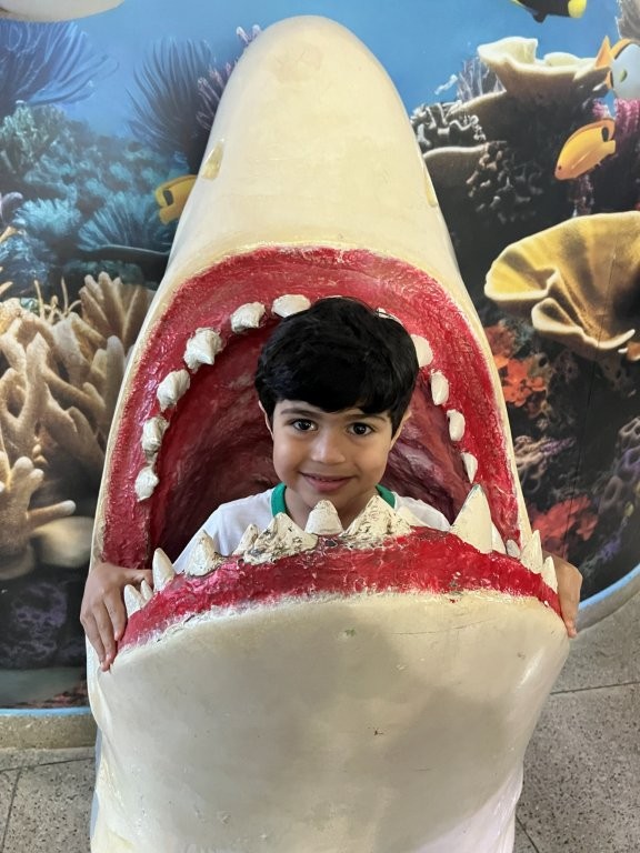 Foto 41 de Visita dos Grupos IV e V à Escola da Ciência e Biologia