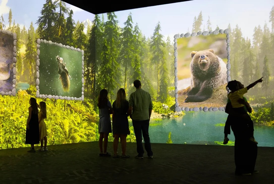 Silhouettes of people standing in a gallery, with a forest scene projected onto the wall alongside images of a bear, squirrel and fish