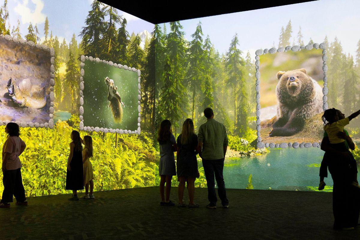 The Nikon Comedy Wildlife Awards immersive experience at FRAMELESS, free with all Seniors tickets.