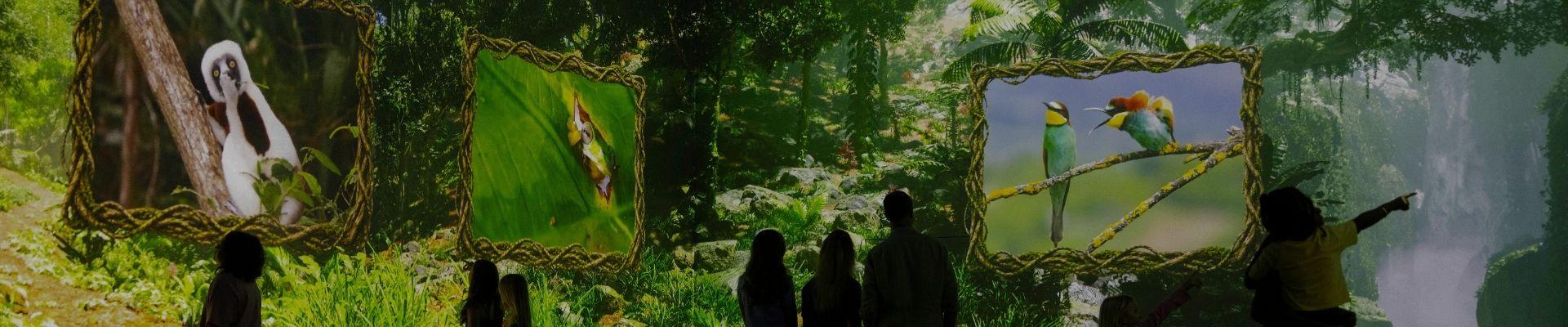 Families standing inside the Nikon Comedy Wildlife Awards immersive experience at FRAMELESS