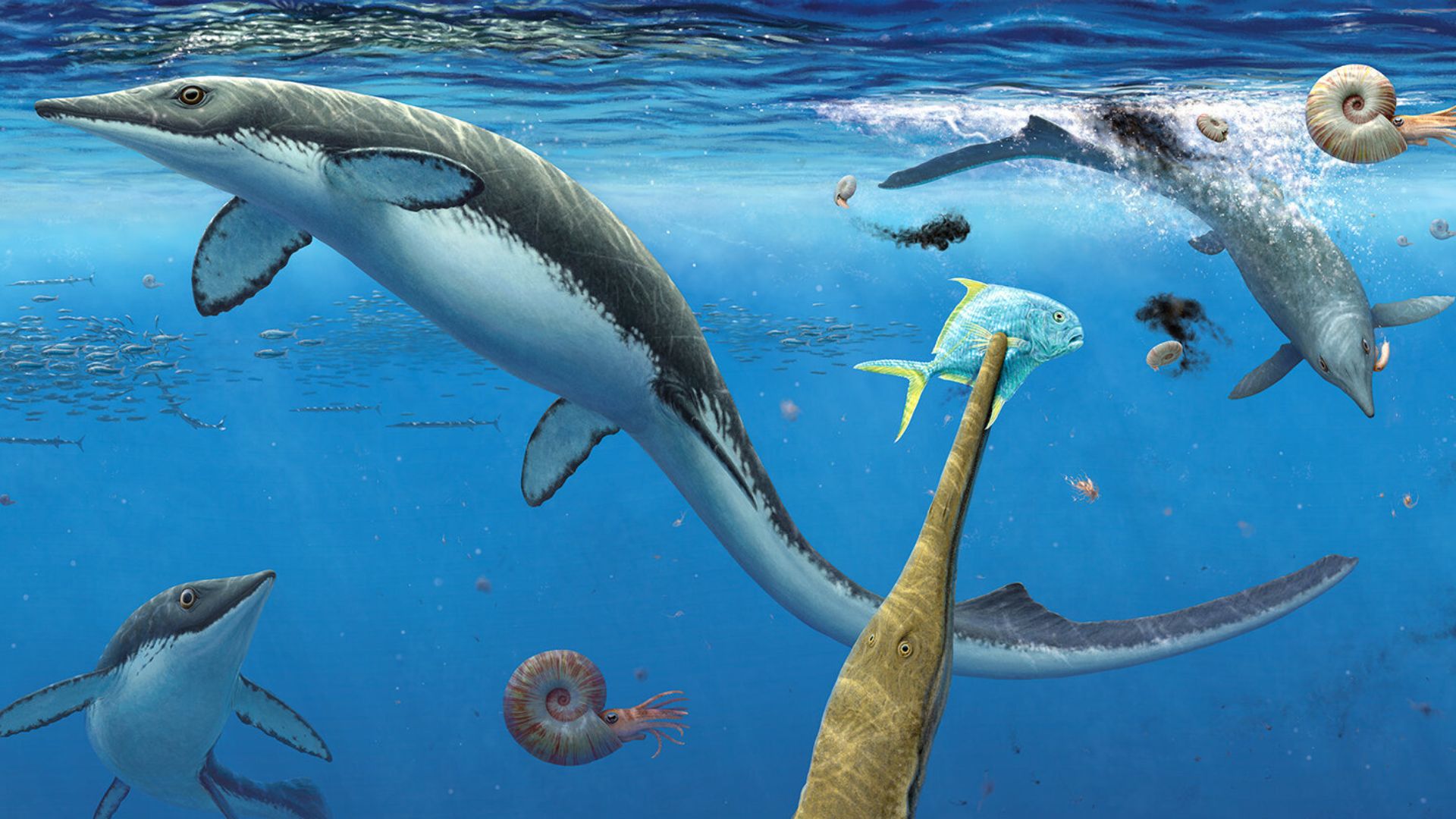249 million-year-old fossils reveal rapid ocean life recovery after 'The Great Dying' (2025)