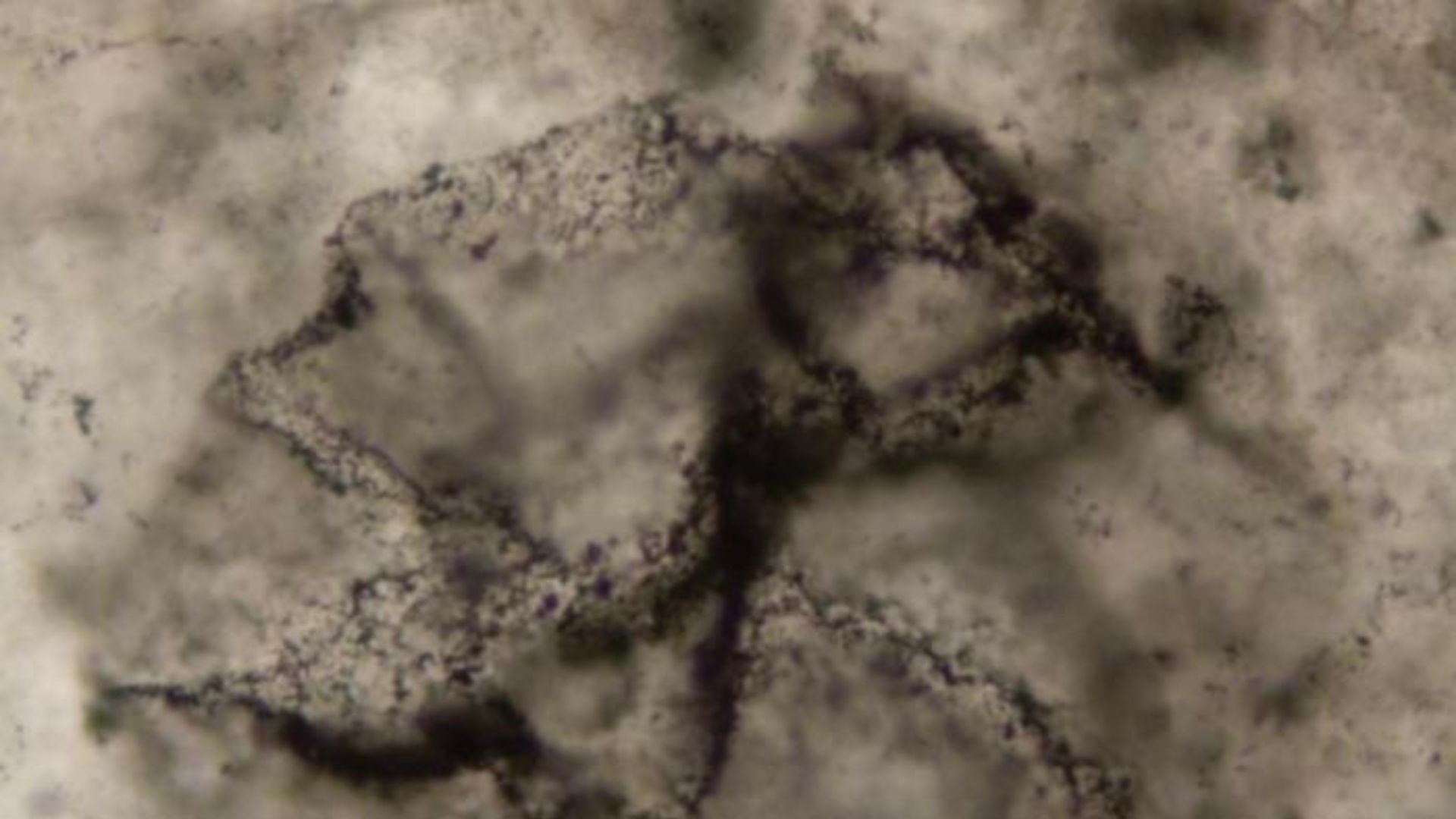 Unraveling Earth's Ancient Secrets: AI Unlocks 3.3-Billion-Year-Old Life Clues (2025)