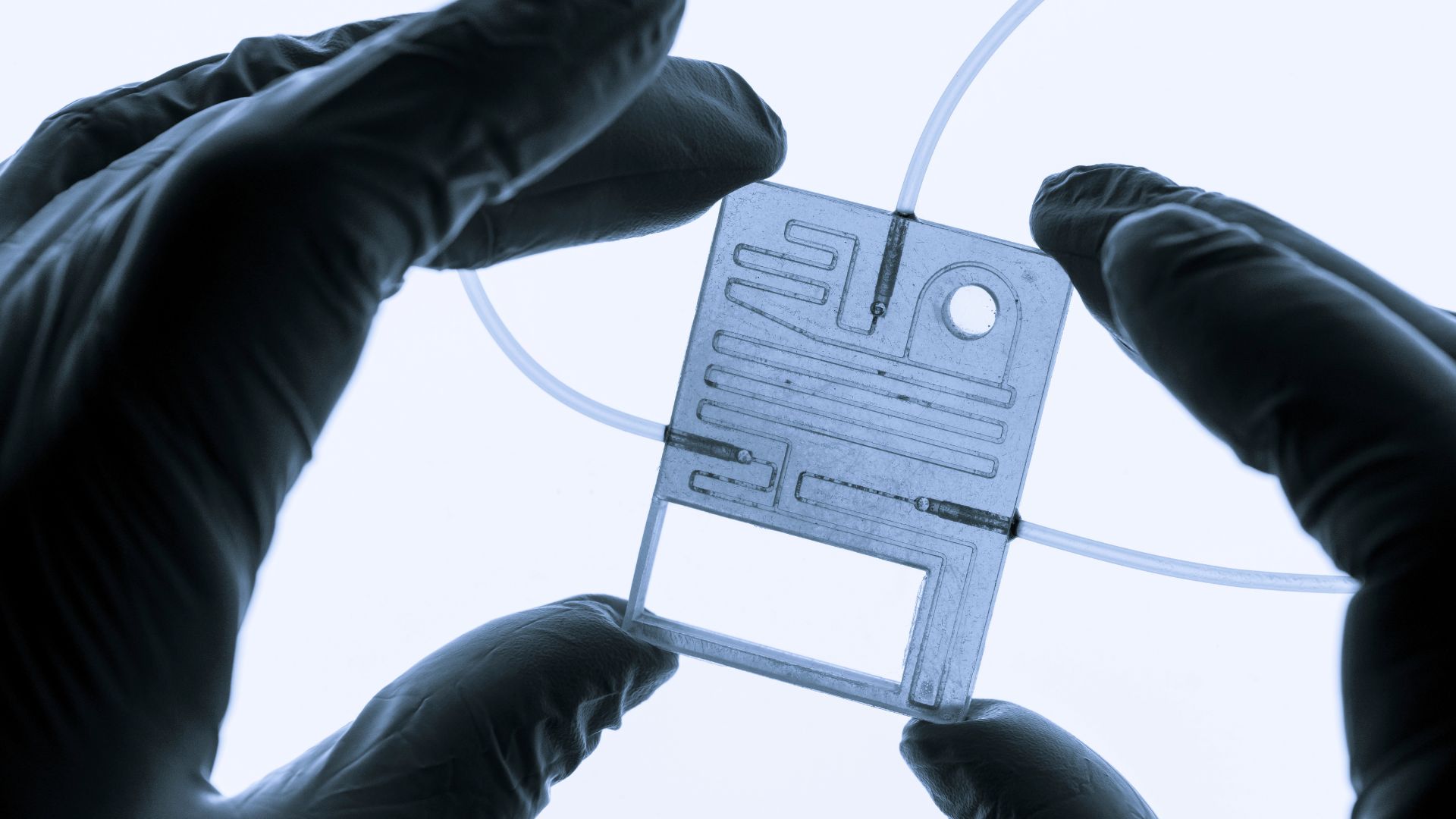 Korea's Revolutionary Smart Actuators: Unlocking Next-Gen Robotics (2026)