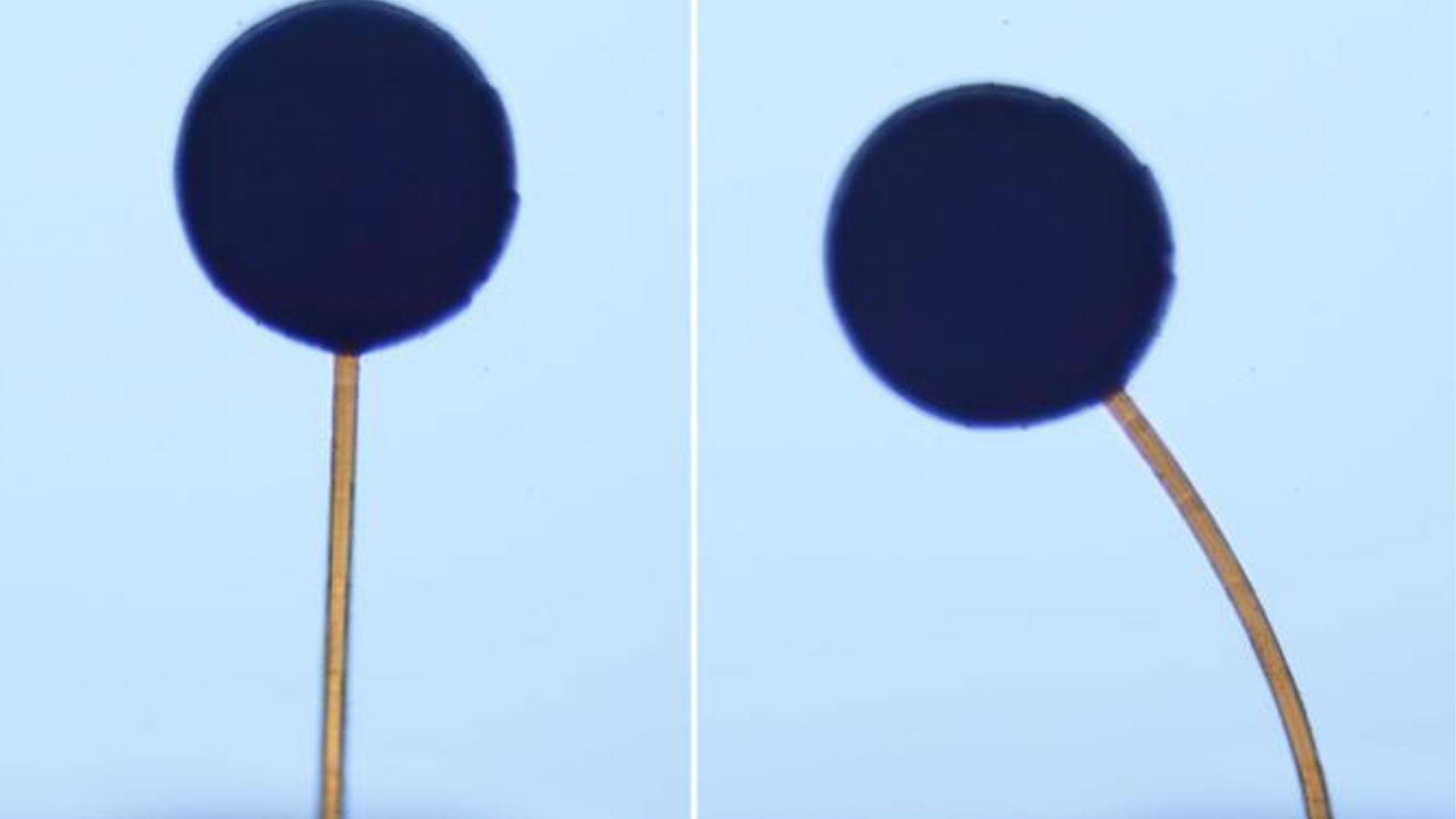 Magnetic Micro-Robots: A Revolutionary 3D-Printed Innovation from MIT (2026)