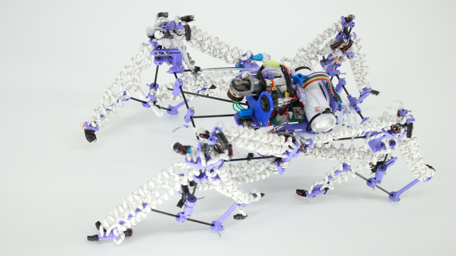 Revolutionary Air-Powered Muscles: Robots Lifting 100x Their Weight! | ASU Innovation (2026)