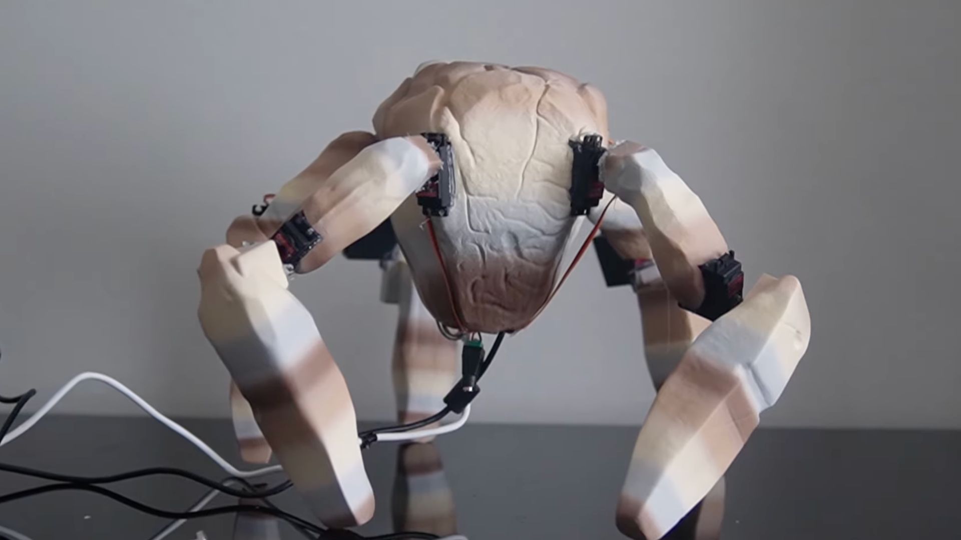 Project Hail Mary Fan Builds REAL Rocky Robot! (AI, 3D Printing, Raspberry Pi) (2026)