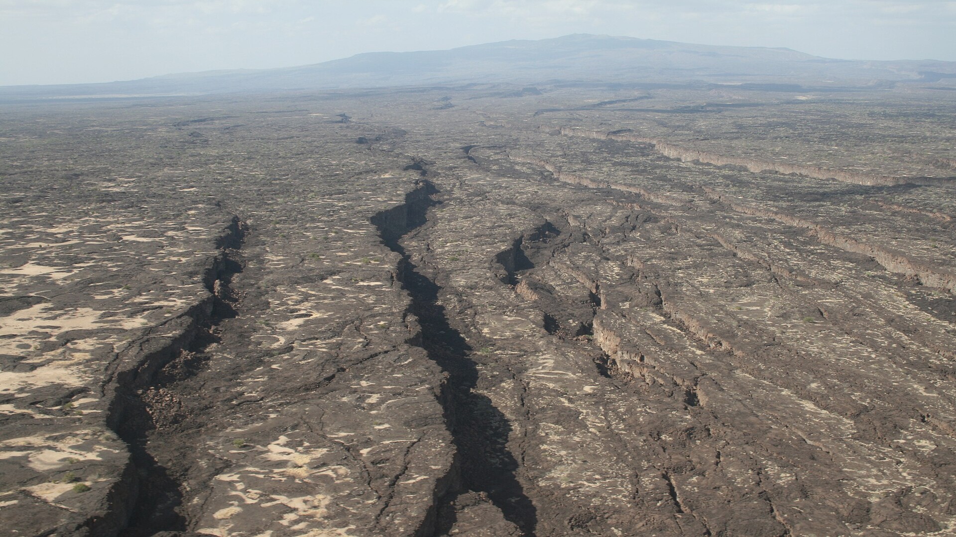 Unveiling the Oldest Cremation: A 100,000-Year-Old Mystery in Ethiopia (2026)