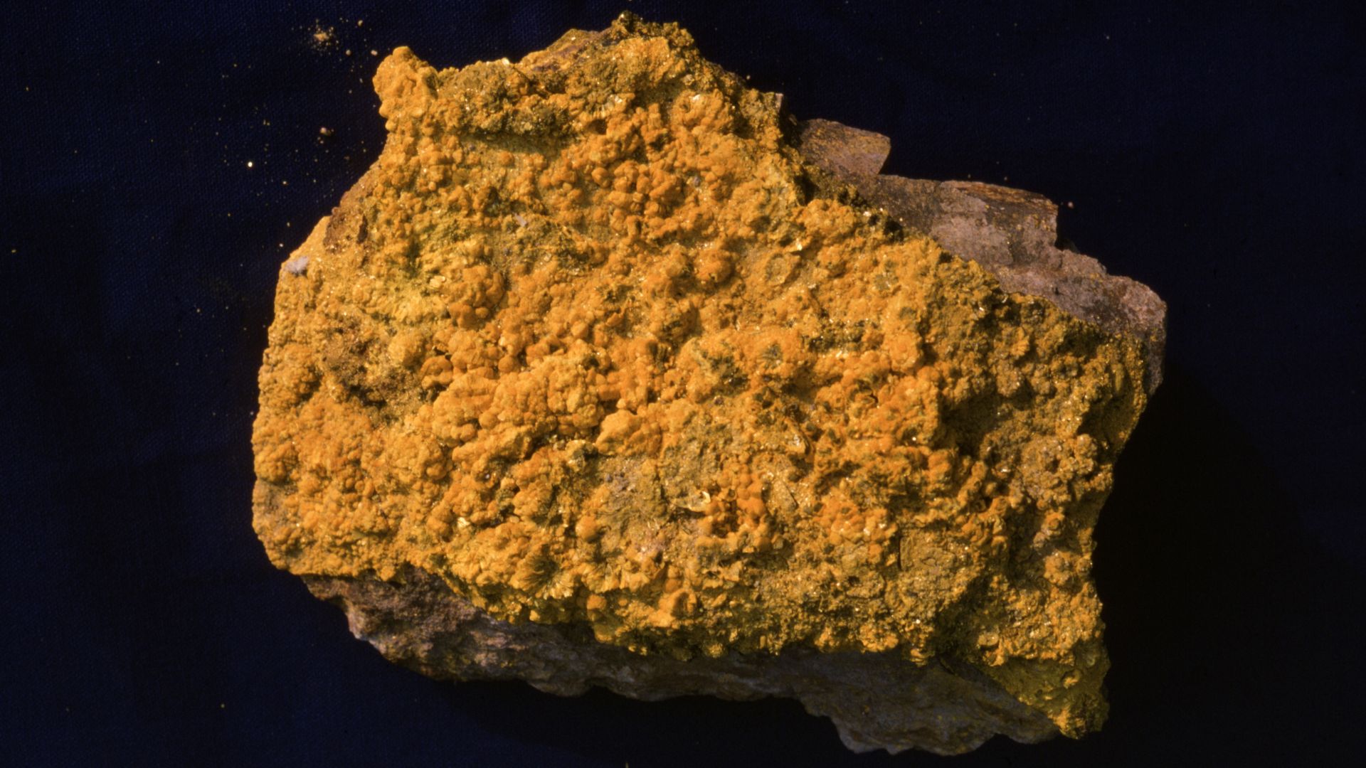 Unreported Uranium Exports: 11 Million Pounds to China? (2026)
