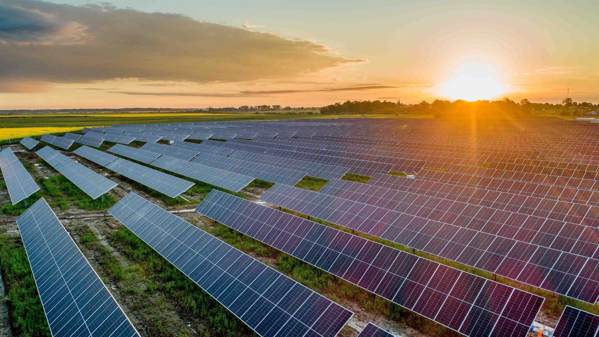 Google's 155 MW Solar Project: Powering the Future in Oklahoma (2026)