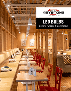 LED Bulbs Brochure