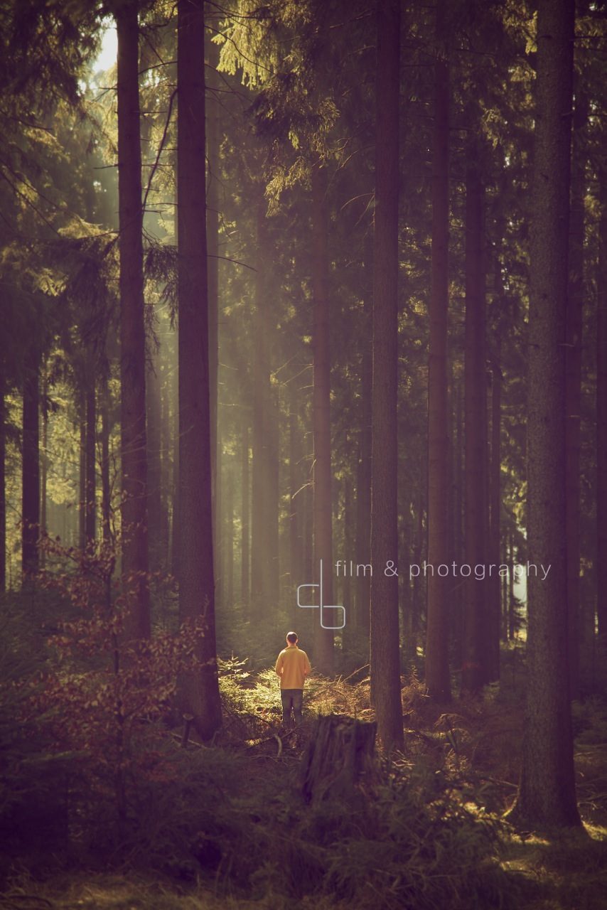 Wald_1