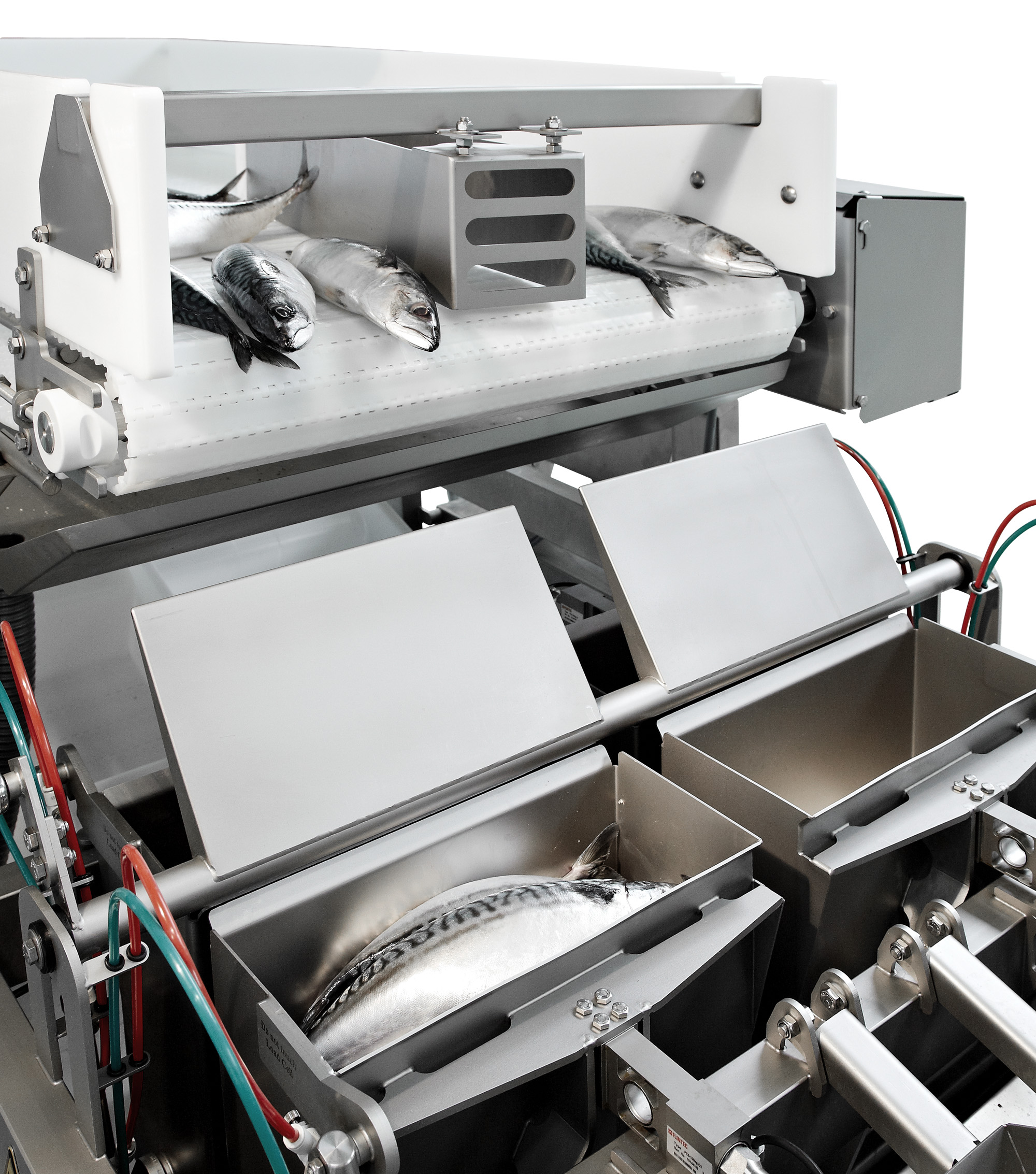 Processing Marel Food Processing Solutions Marel - High Quality Nature Image - Full HD