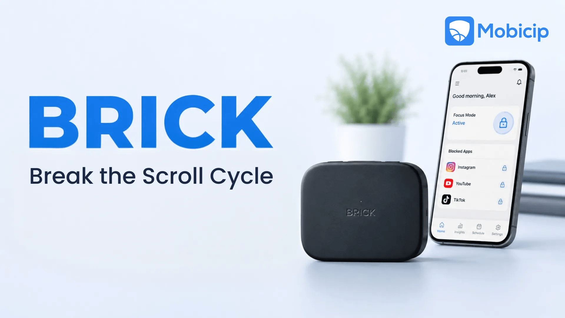 Brick Screen time Device